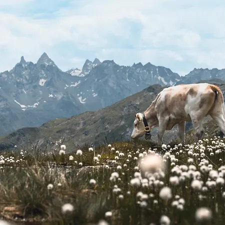 Felbermayer Daire Gaschurn